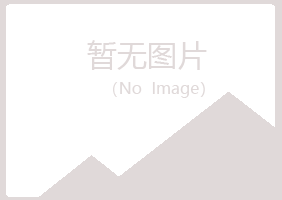 龙沙区夏日化学有限公司